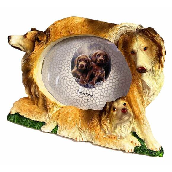 3D Collie Picture Frame Family Dog Brown White Hand Painted Holds 4x6 Photo NEW - Picture 6 of 11